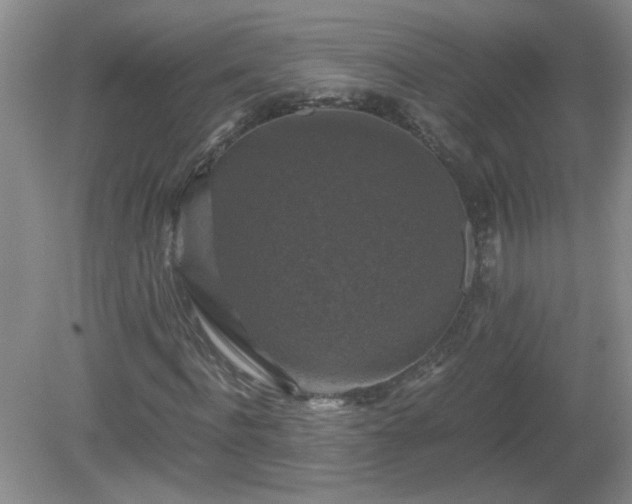 X0000081390916200701182228