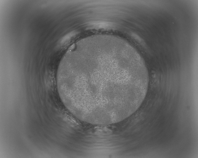 X0000081390918200701182228