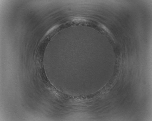 X0000081390919200701182228