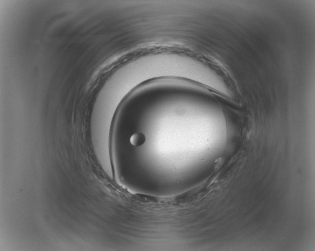 X0000081390920200701182228