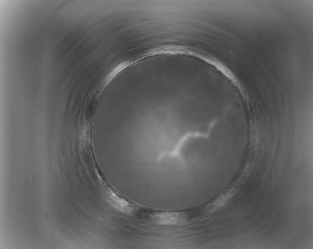 X0000081390953200701182229