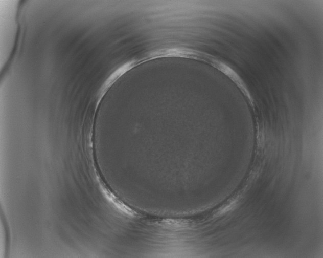 X0000081390954200701182229