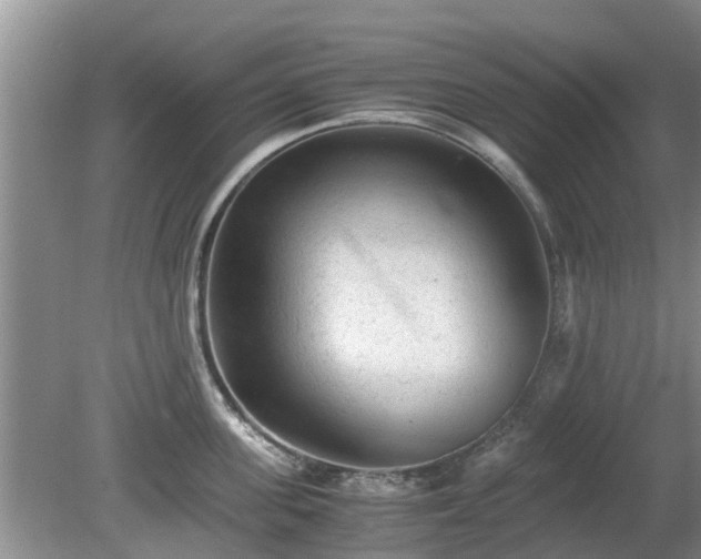 X0000081390955200701182229