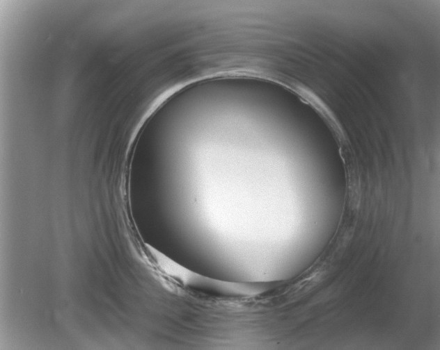 X0000081390956200701182229