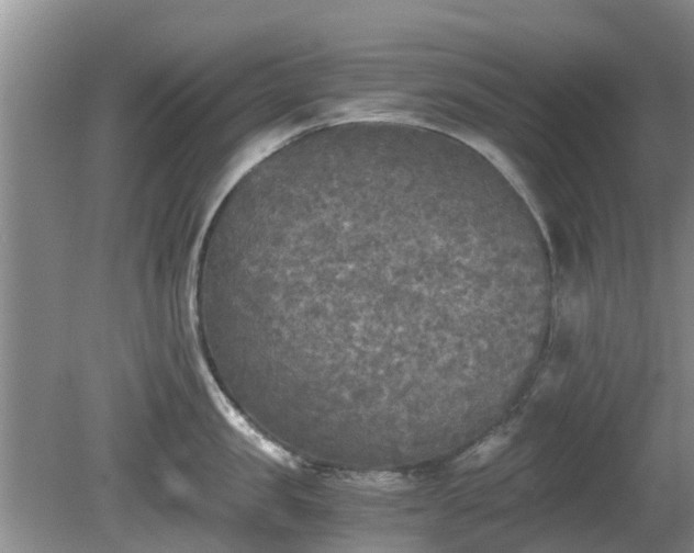 X0000081390957200701182229