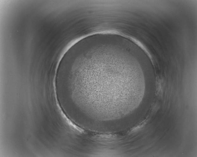 X0000081390959200701182229