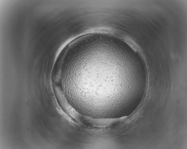 X0000081390960200701182229