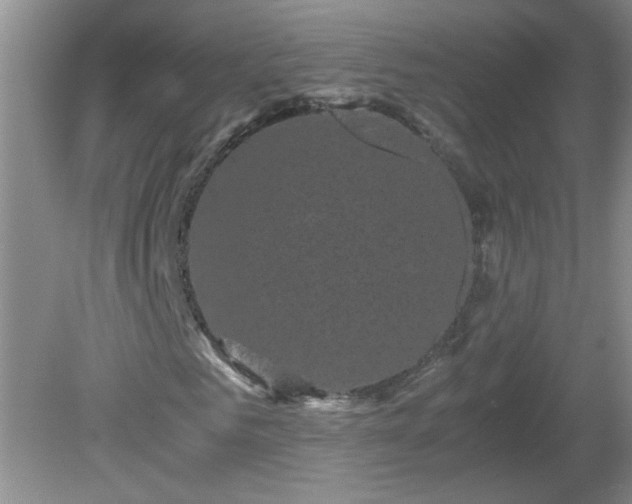 X0000081390961200701182228