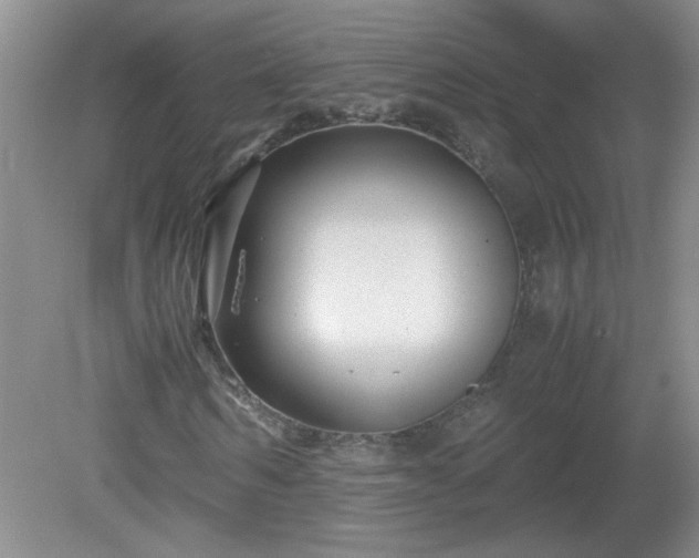 X0000081390962200701182228