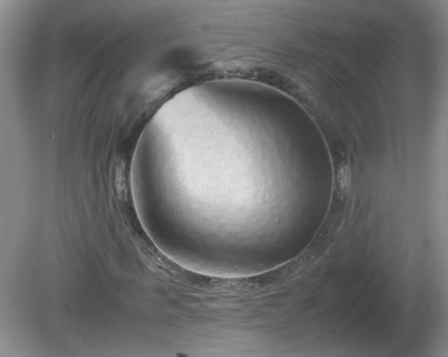 X0000081390963200701182228
