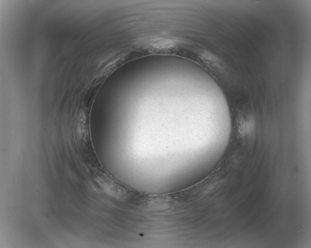 X0000081390964200701182228