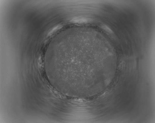 X0000081390966200701182228