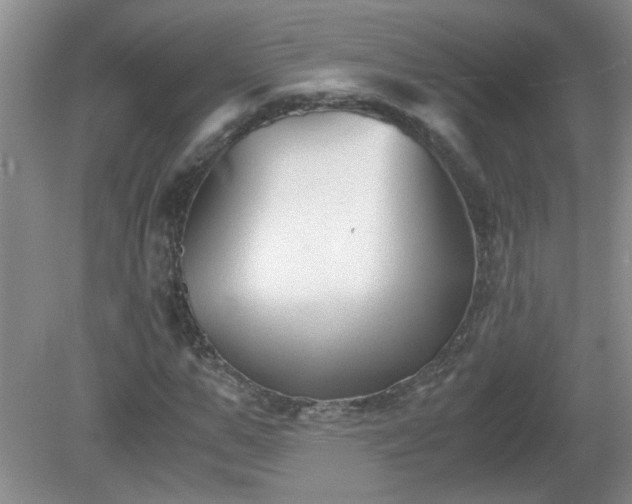 X0000081390967200701182228