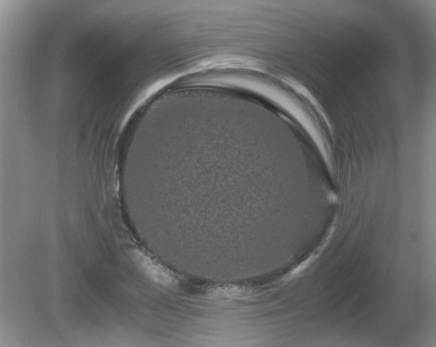 X0000081390973200701182228