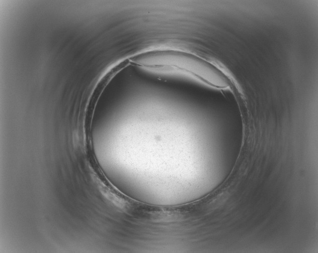 X0000081390980200701182228