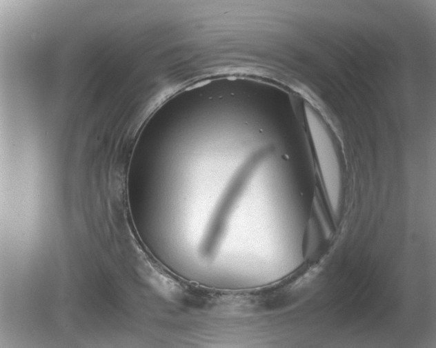 X0000081390993200701182227