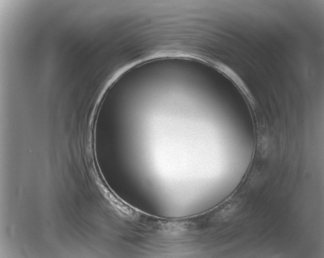 X0000081391004200701182227