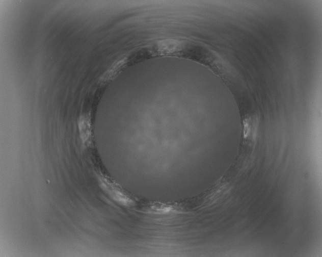 X0000081391011200701182226