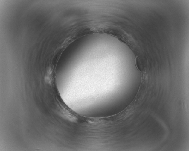 X0000081391012200701182226