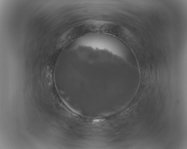 X0000081391013200701182226