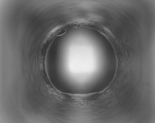 X0000081391016200701182226