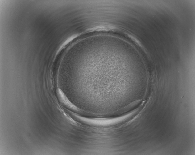 X0000081391018200701182226
