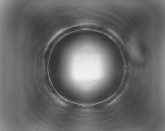 X0000081391021200701182226