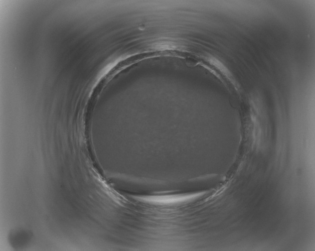 X0000081391023200701182226