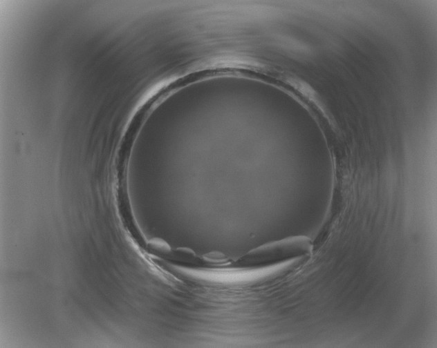 X0000081391024200701182226