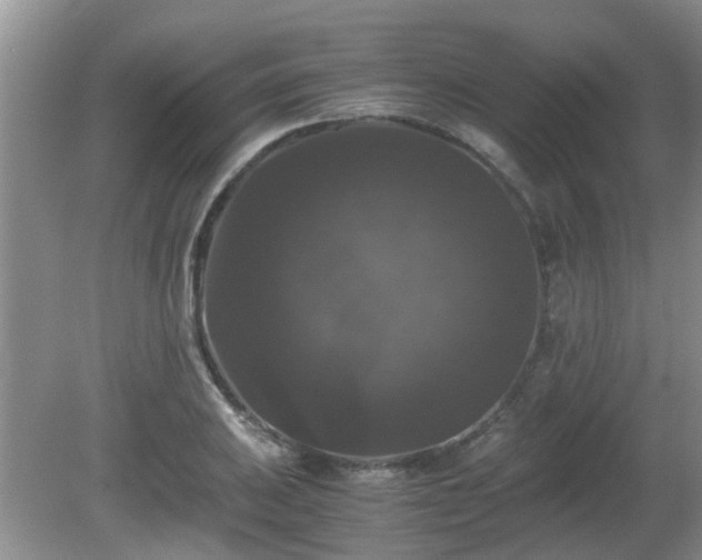 X0000081391031200701182227