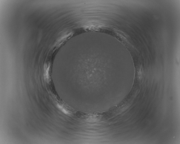 X0000081391060200701182226
