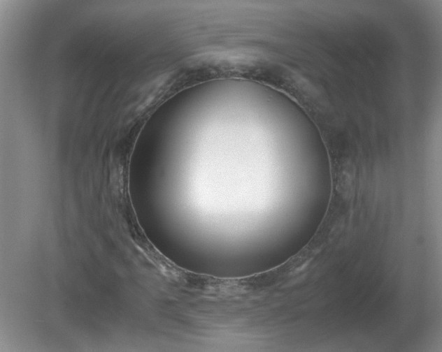 X0000081391061200701182226
