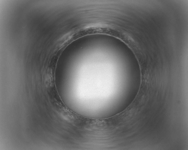 X0000081391062200701182226