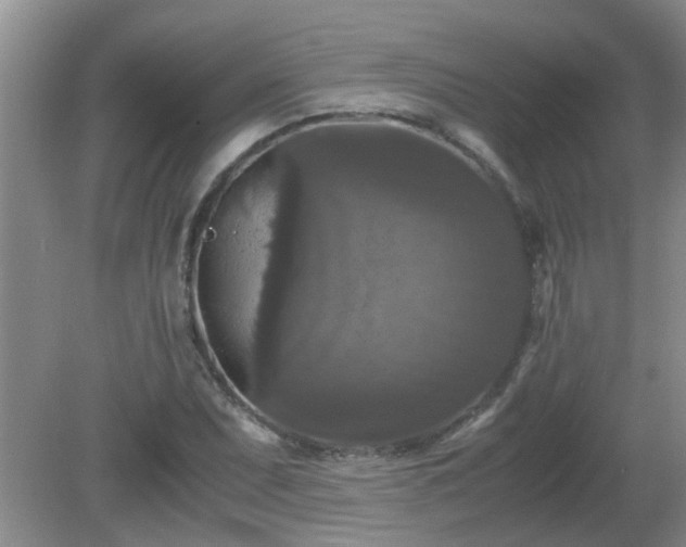 X0000081391071200701182226