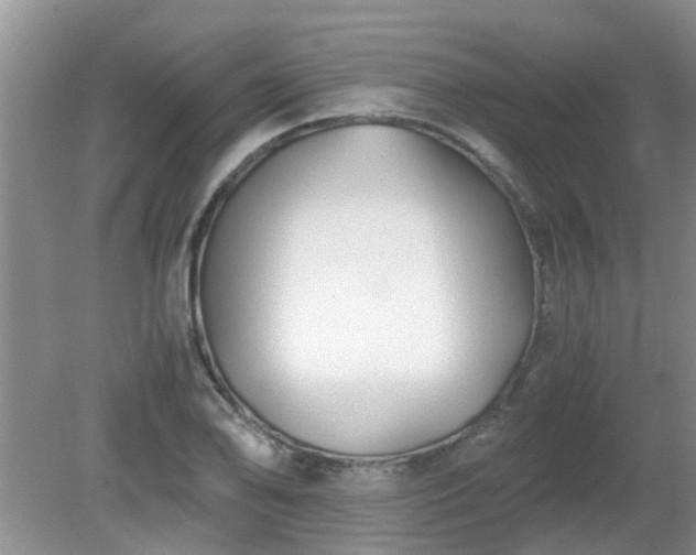 X0000081391078200701182226
