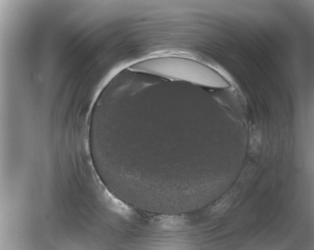 X0000081391102200701182225