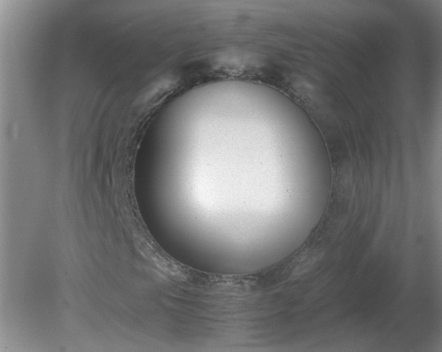X0000081391105200701182225
