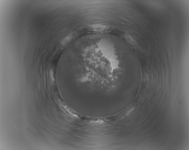 X0000081391106200701182225