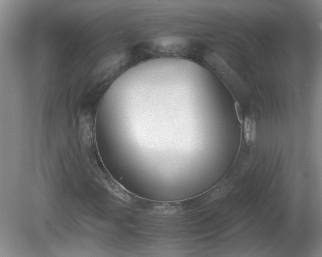 X0000081391107200701182225