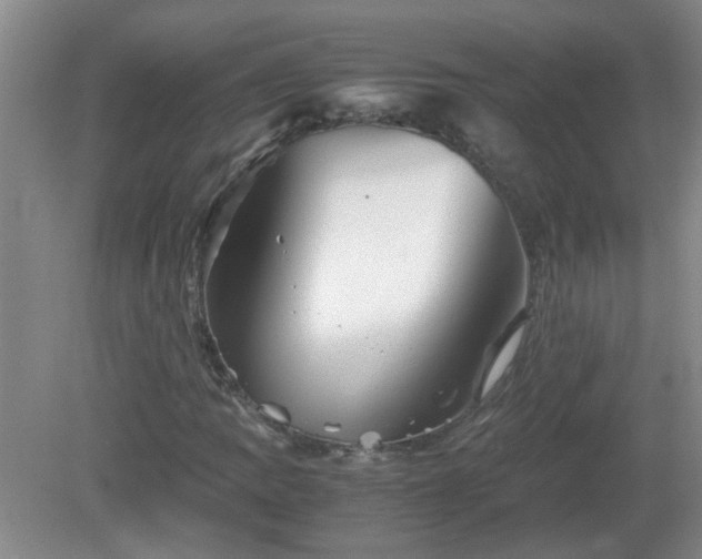 X0000081391109200701182225