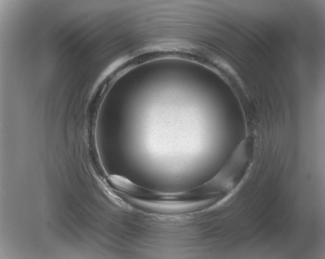 X0000081391114200701182225