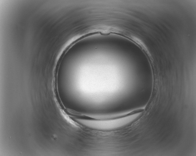X0000081391136200701182225