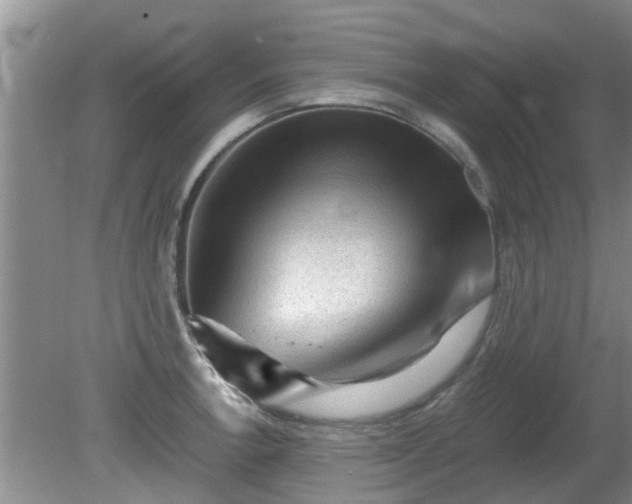 X0000081391138200701182225