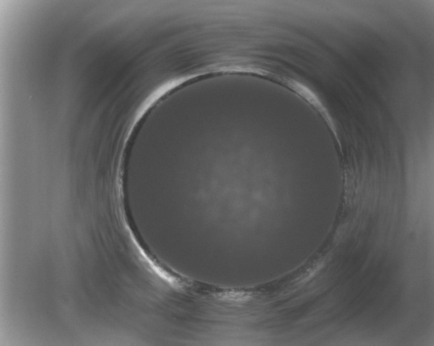 X0000081391141200701182225