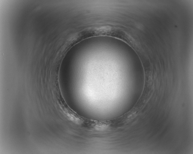 X0000081391153200701182225