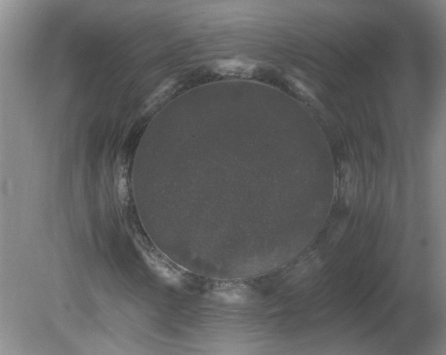 X0000081391154200701182225