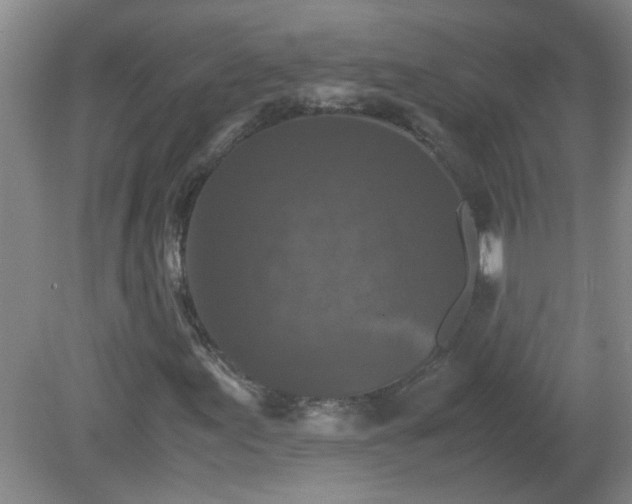 X0000081391155200701182225