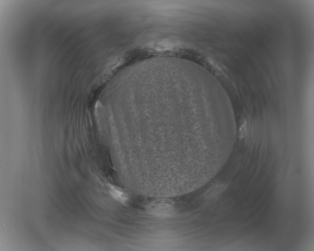 X0000081391156200701182225