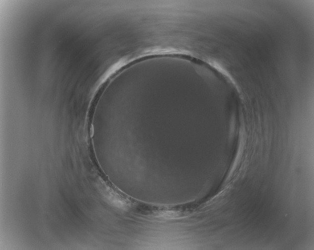 X0000081391173200701182224