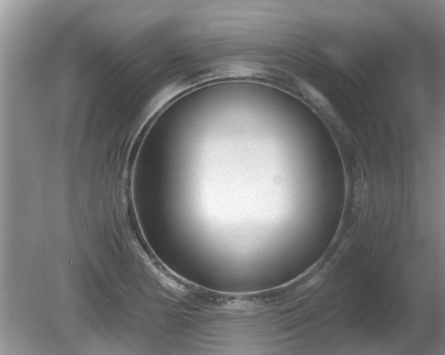 X0000081391178200701182224
